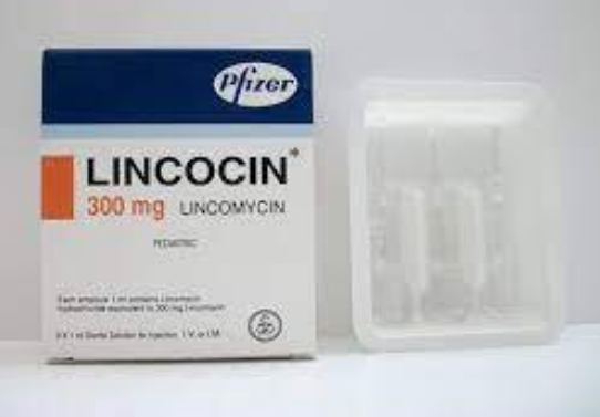 دواء لينكوسين 300 مجم / مل 3 امبول
